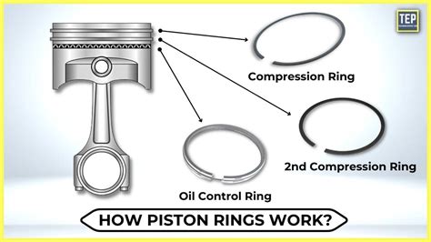 compression test piston rings|compression rings are designed to.